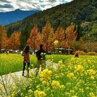 靜心天地