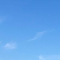 千葉県　流山·柏市　若手社会人