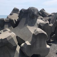 集まれ消波ブロックマニア！
