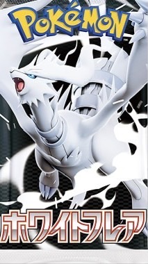 ポケカ  福井   情報＆雑談