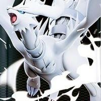 ポケカ  福井   情報＆雑談