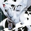 ポケカ  福井   情報＆雑談