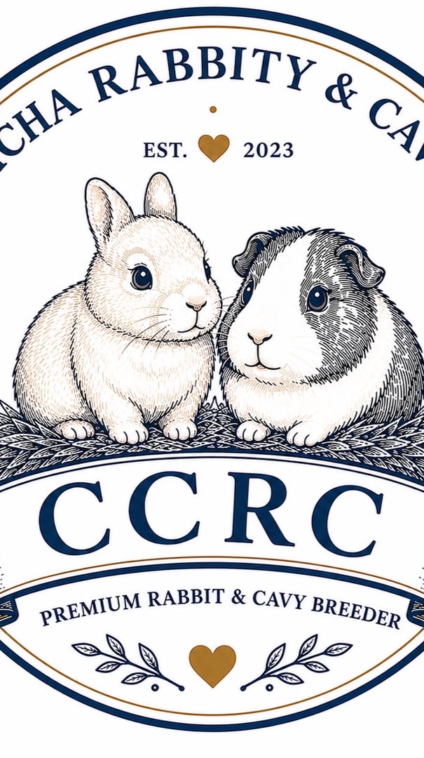 Chicha rabbity & cavy’s
