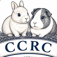 Chicha rabbity & cavy’s