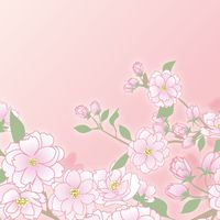 西京文化委員チャット
