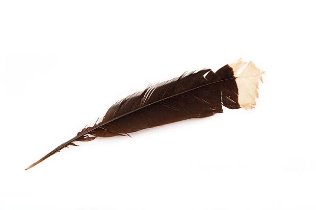 Penampakan 5 Benda Yang Harga Jualnya Paling Mahal Sedunia