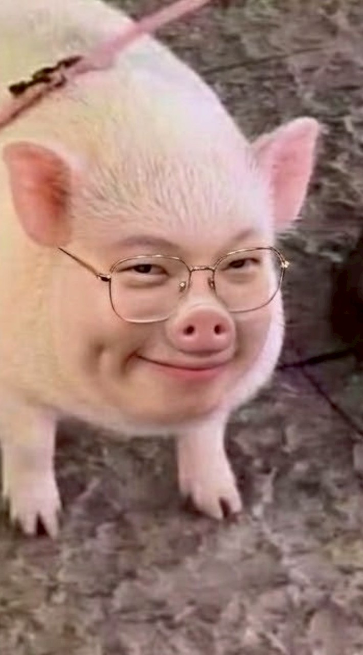 翔哥們專屬社群