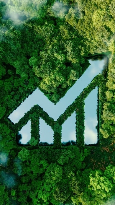 私募台股全民賽A4區