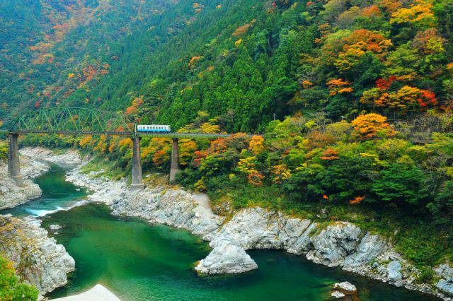 四國賞楓推薦 秋天一起到四國紅葉秘境景點賞楓去吧 Compathy Magazine Line Today