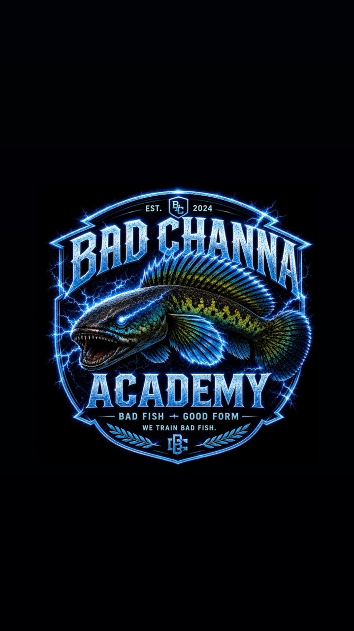 BAD CHANNA COMMUNITY 🐟