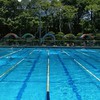 泳渡人生(運動人生)