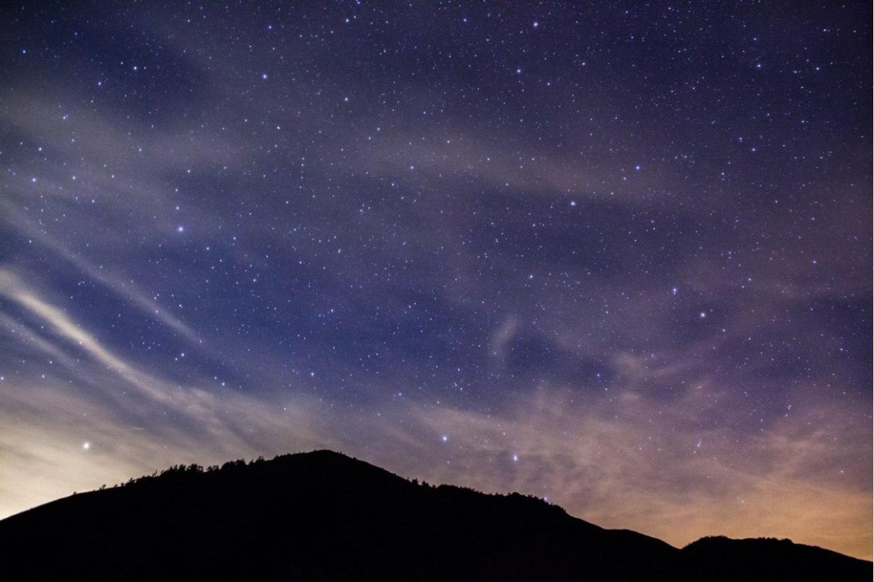 夜貓子走吧！捨不得睡的夜晚，不如來趟有趣又好玩的夜間體驗