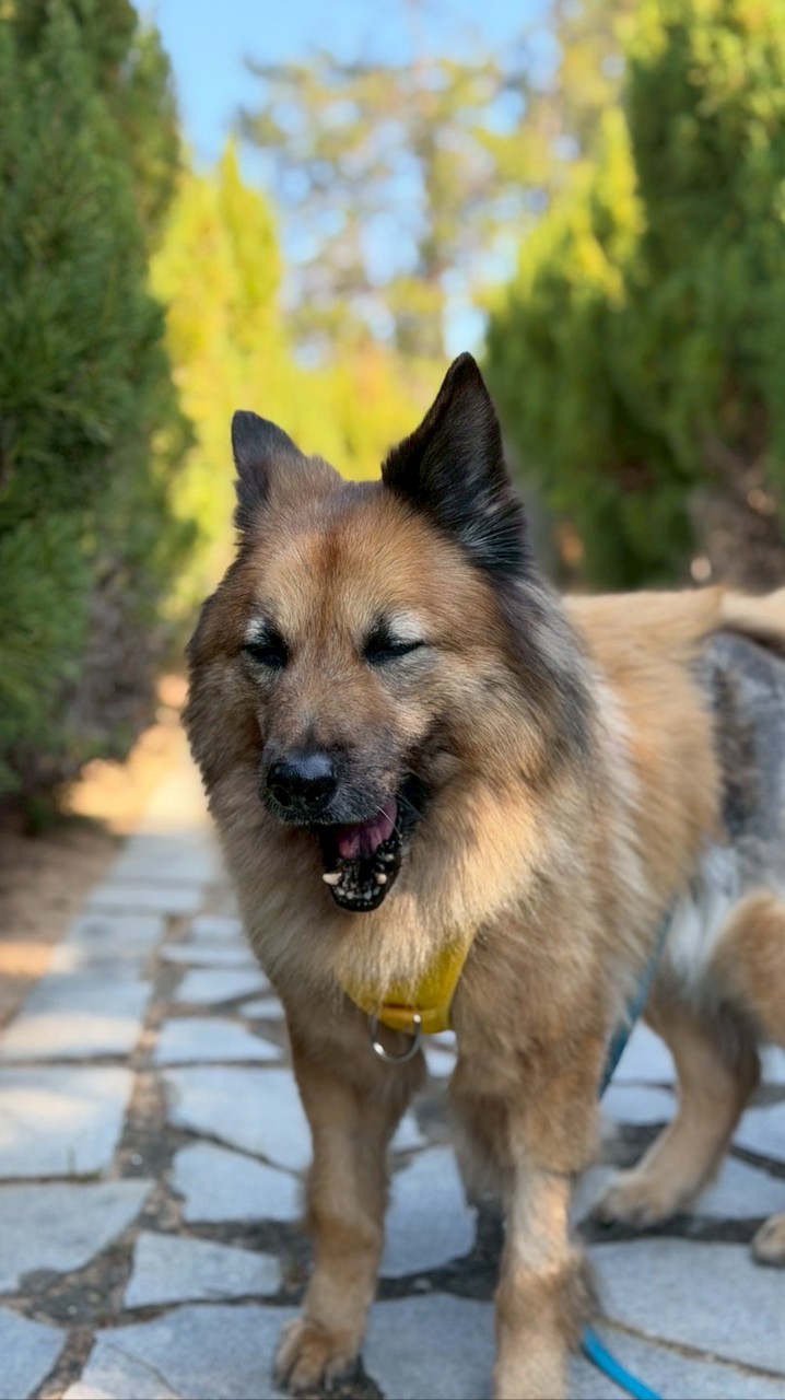 金門之旅小導遊