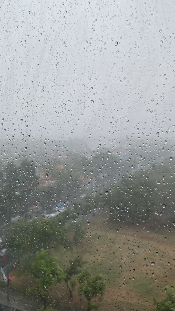 Tìm việc tại Đài