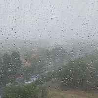 Tìm việc tại Đài
