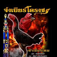 จ่าเบียร์ไก่ชนโคราช