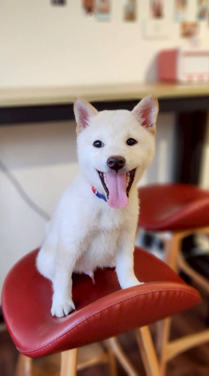 有一間愛買+++++