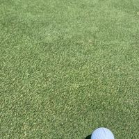 ⛳️高球李想家🏌🏽