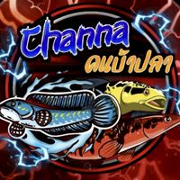 Channa คนบ้าปลา