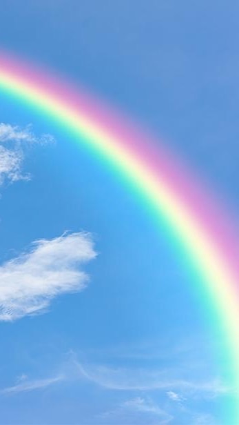 LES🌈來吧營業中