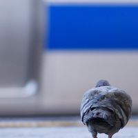 ときわじねっとわーく
