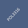 POL3316