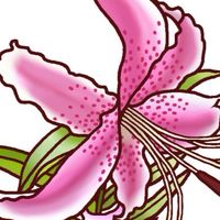 佐世保市地域支え合いオープンチャット(第一層生活支援コーディネーター)