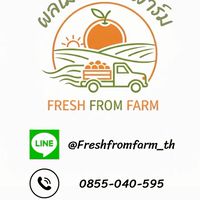 ผลไม้สดจากฟาร์ม Fresh From Farm🍊💦