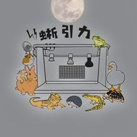 「蜥引力溫控爬蟲箱」新手友善爬蟲交流討論分享