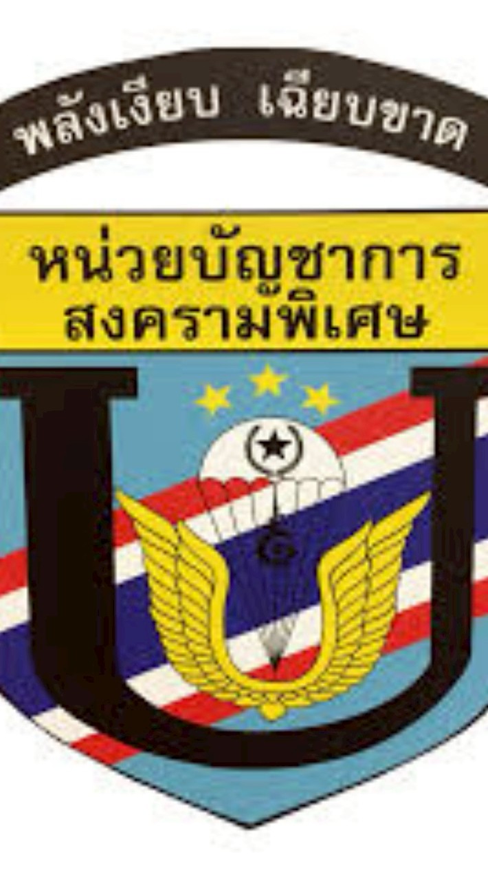 หน่วยบัญชาการสงครามพิเศษ
