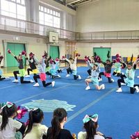 撮影用🦄プラッキーズ緑チーム