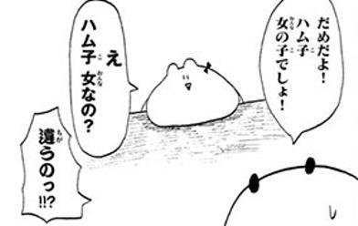 こんちわハム子 無料マンガ Line マンガ