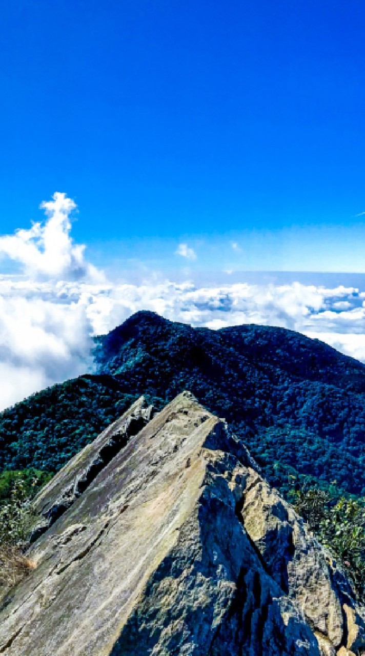 爬山揪團爬山(中部地區)