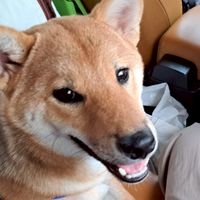 南群曜科技有限公司