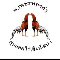 ช.เพชรทองคำ