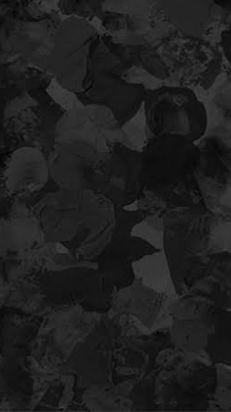Bll 也 ⌒ Mafia  パロ
