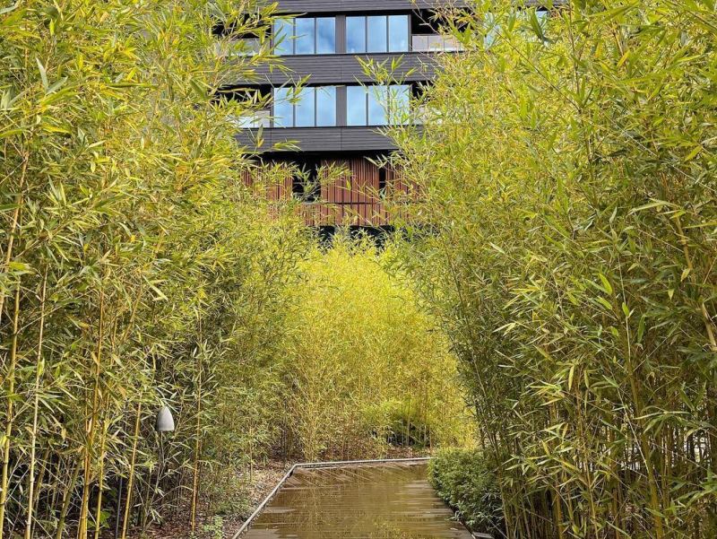 虹夕諾雅谷關 台中溫泉推薦