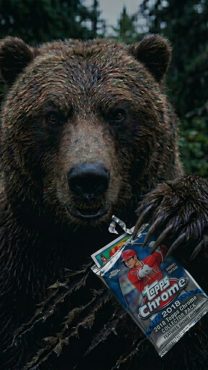 熊掌開卡Bear's Card Breaks
