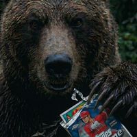 熊掌開卡Bear's Card Breaks