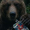 熊掌開卡Bear's Card Breaks