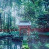 神社⛩とお寺〽️と日本神話🌸～自然🌱が魅せる風景～紡がれてきた名言 格言と思想✨