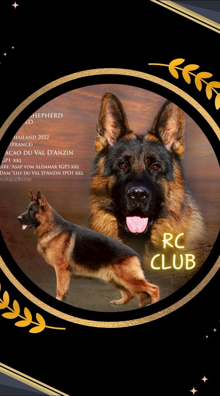 R.C. Club 999