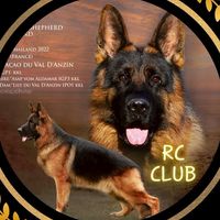R.C. Club 999