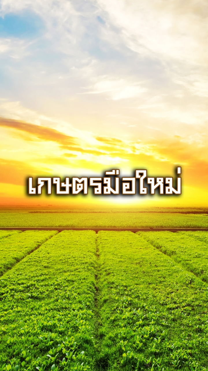 เกษตรมือใหม่