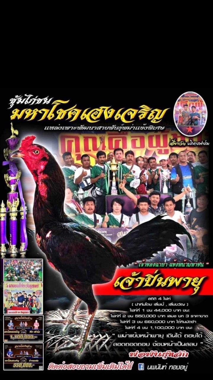 FC มหาโชคเฮงเจริญ ร่มไผ่ทีม(โต๋เต๋ฟาร์ม746 + NTบูรพาฟาร์ม)
