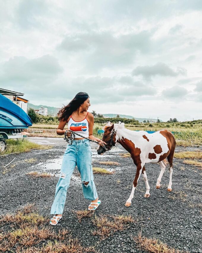 墾丁景點、墾丁一日遊