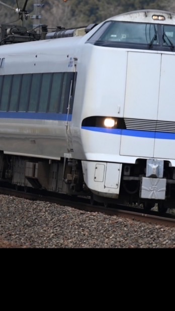 あつまれ鉄道の森