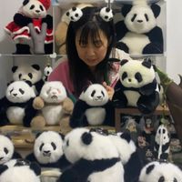 朱珠熊貓主播