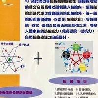 高雄岡山東方經絡電位推拿保健