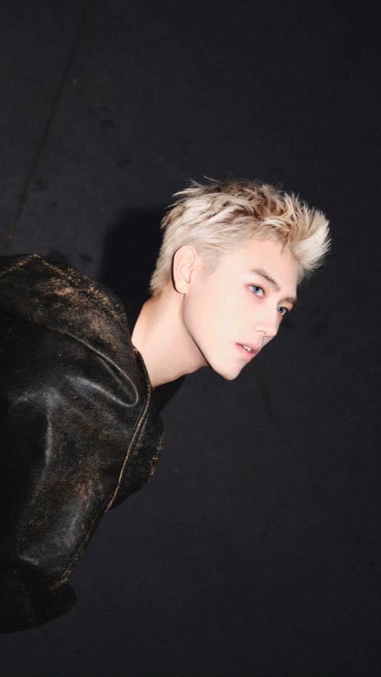 จักรวาลน้อยของเฉินเฟยอวี่
